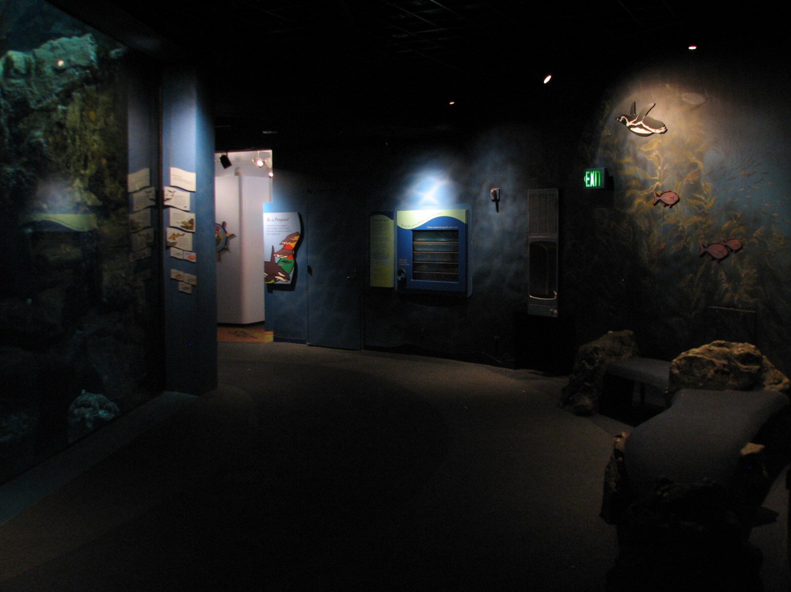 The Living Coast - Kelp Forest Exhibit Viewing Area