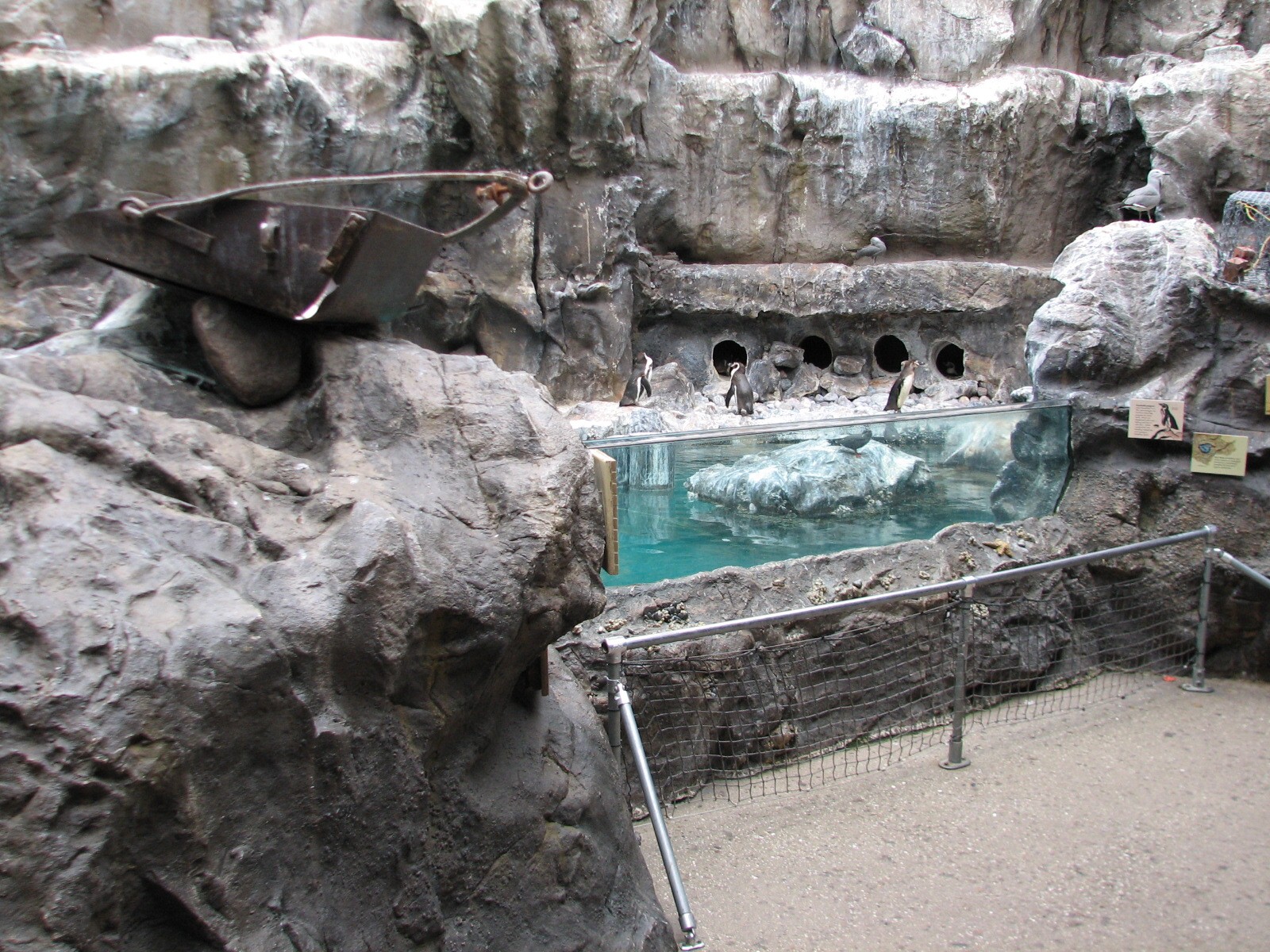 The Living Coast - Rocky Shores Bird Exhibit
