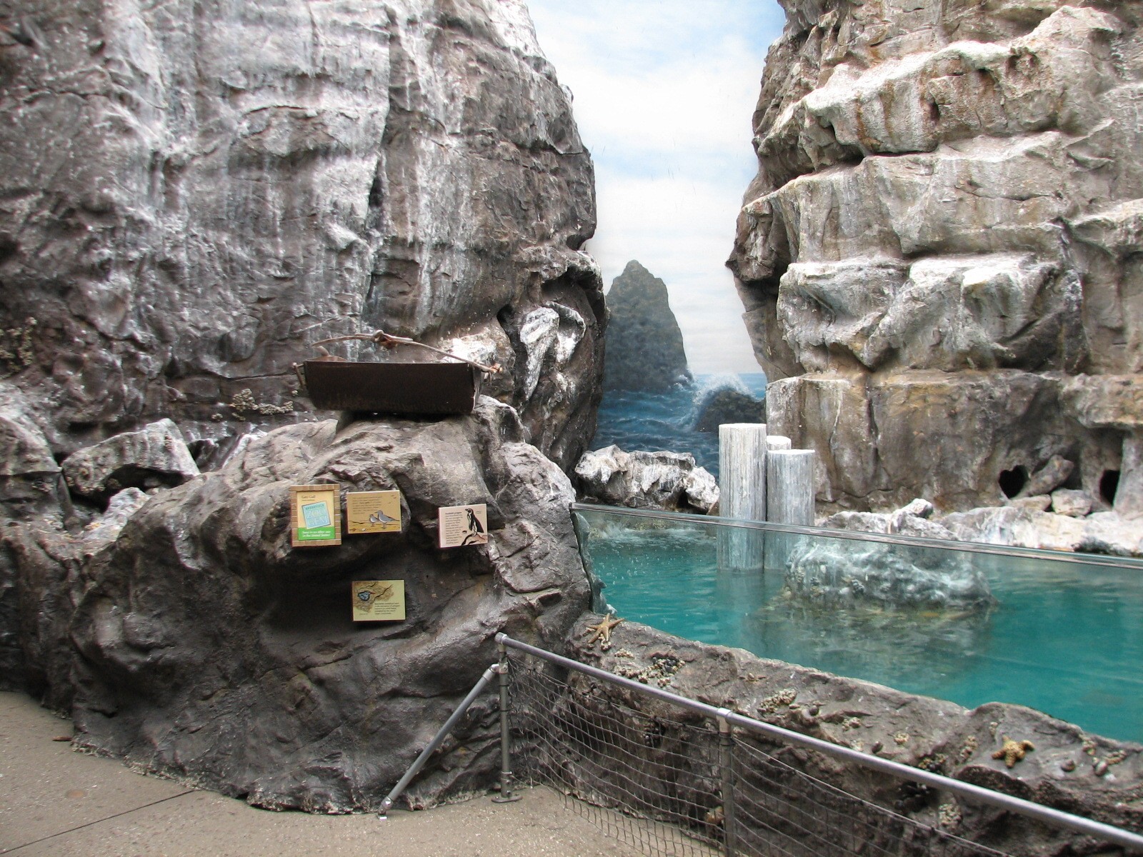 The Living Coast - Rocky Shores Bird Exhibit