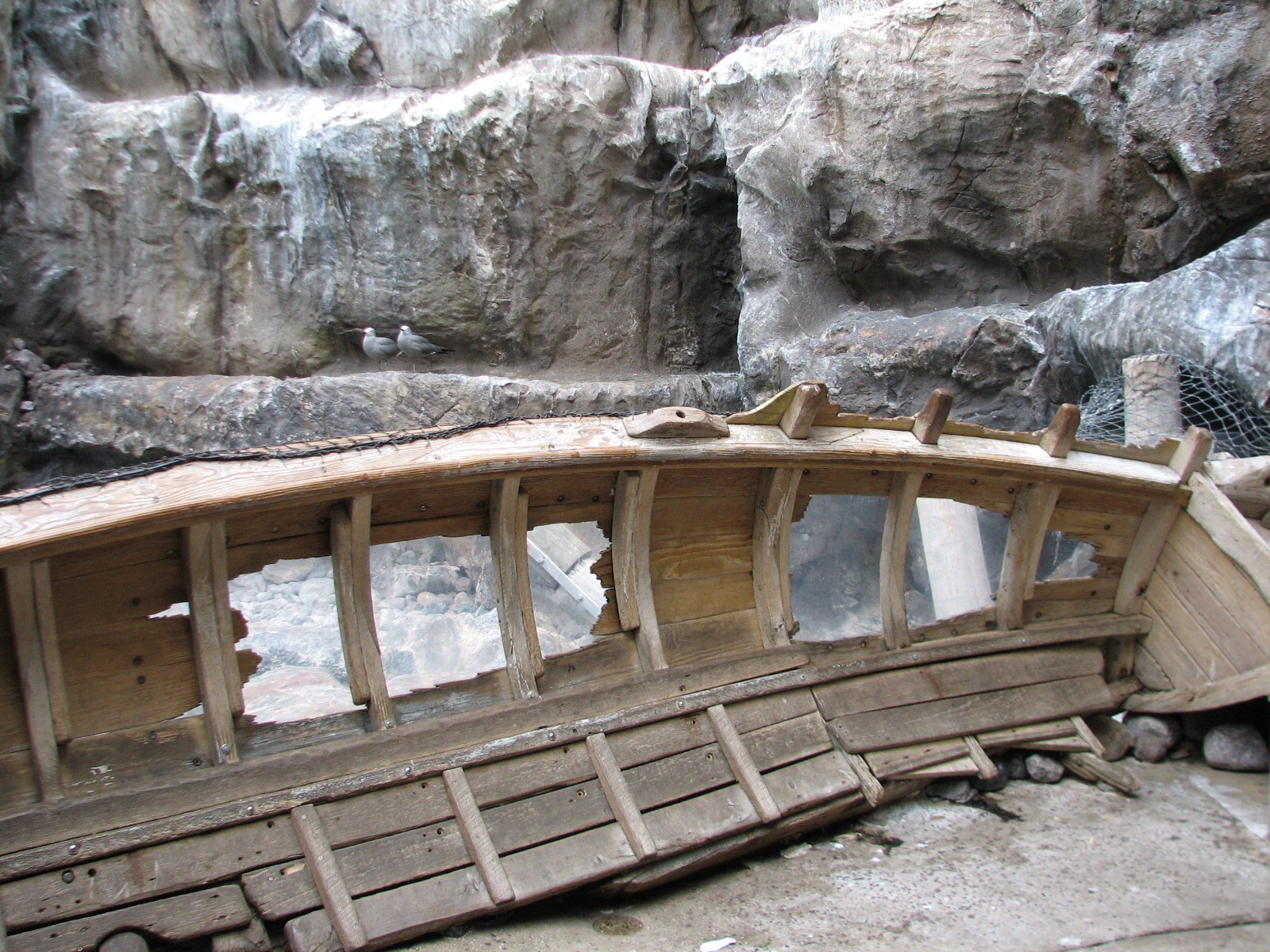 The Living Coast - Rocky Shores Bird Exhibit