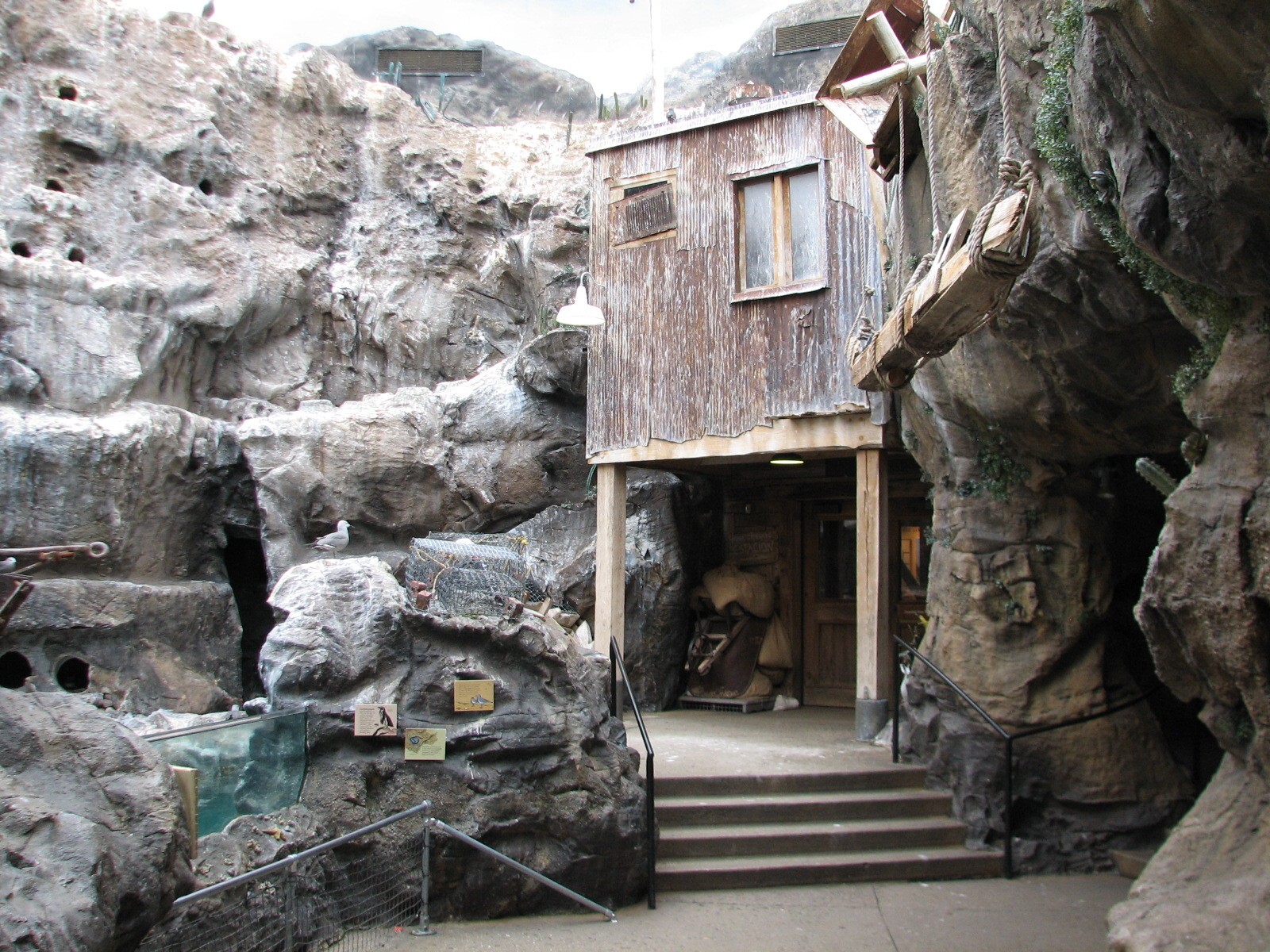The Living Coast - Rocky Shores Bird Exhibit