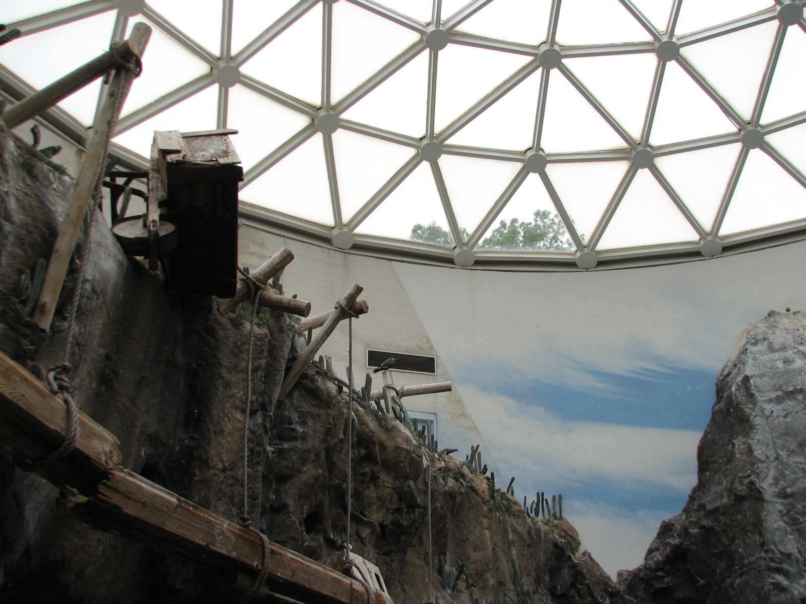 The Living Coast - Rocky Shores Bird Exhibit