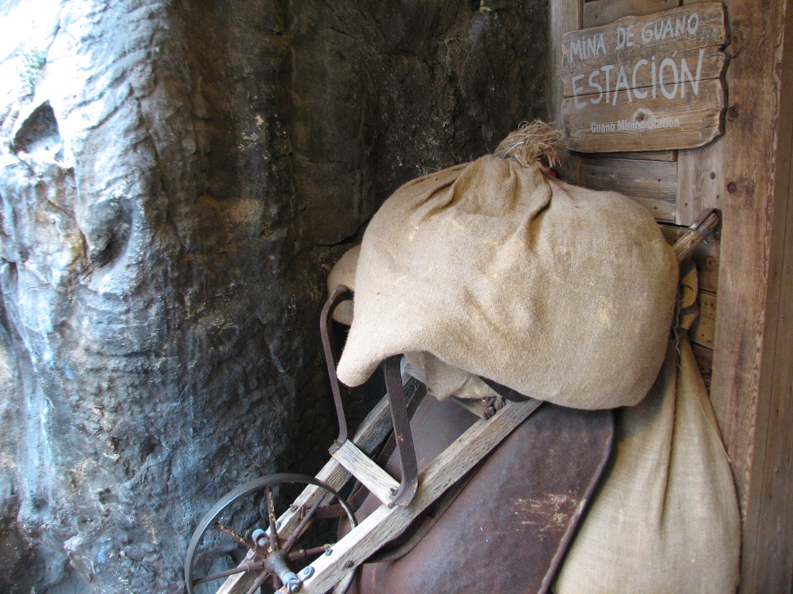 The Living Coast - Rocky Shores Bird Exhibit