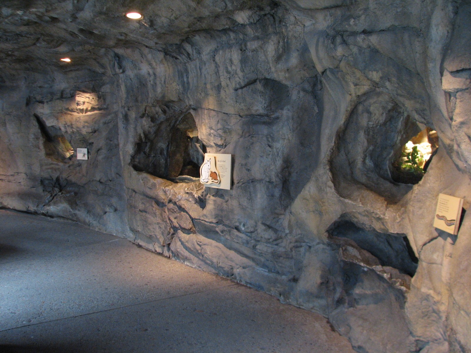 The Living Coast - Rocky Shores Small Exhibits