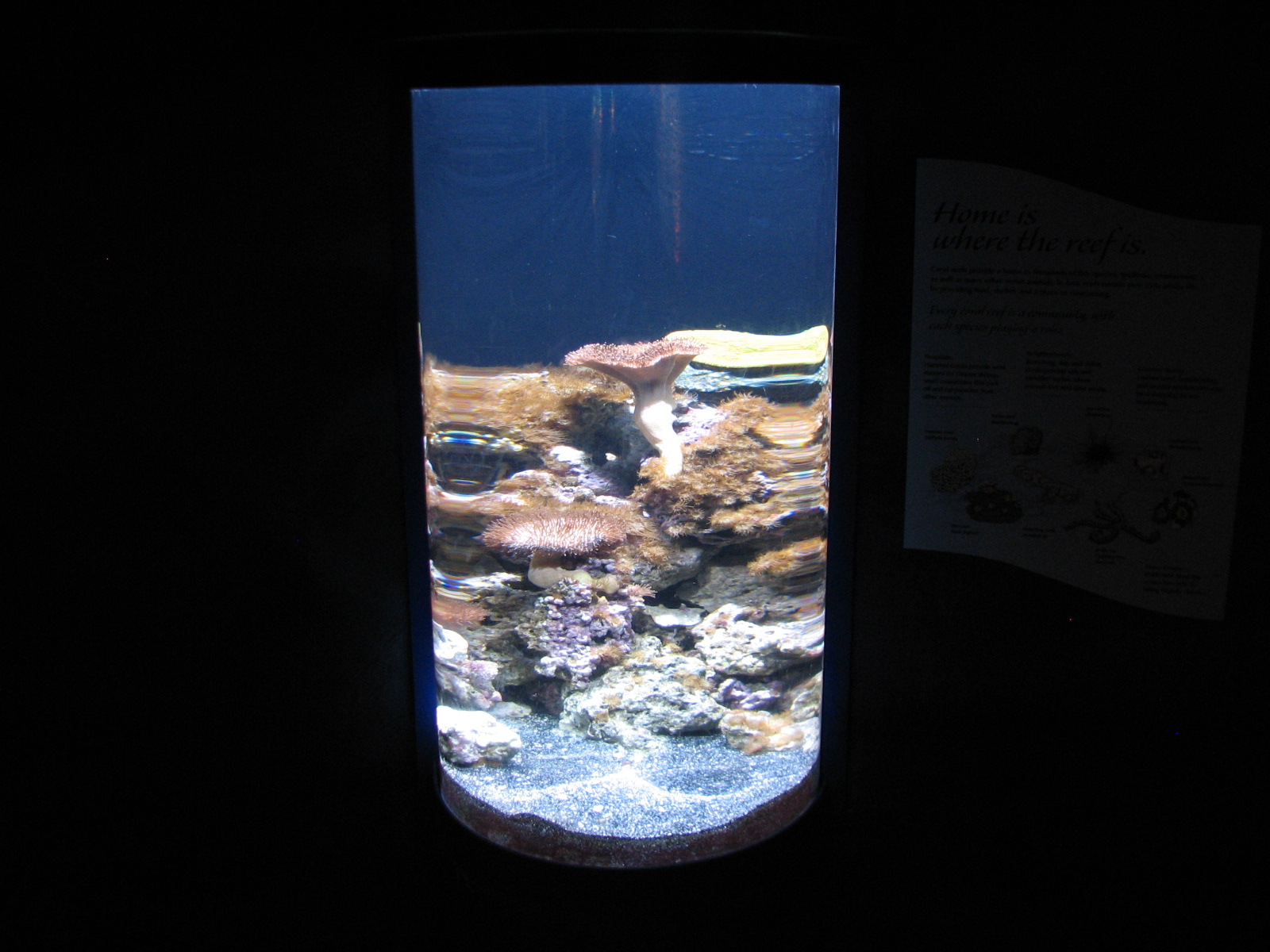 The Living Coast - Sea Floor Exhibit
