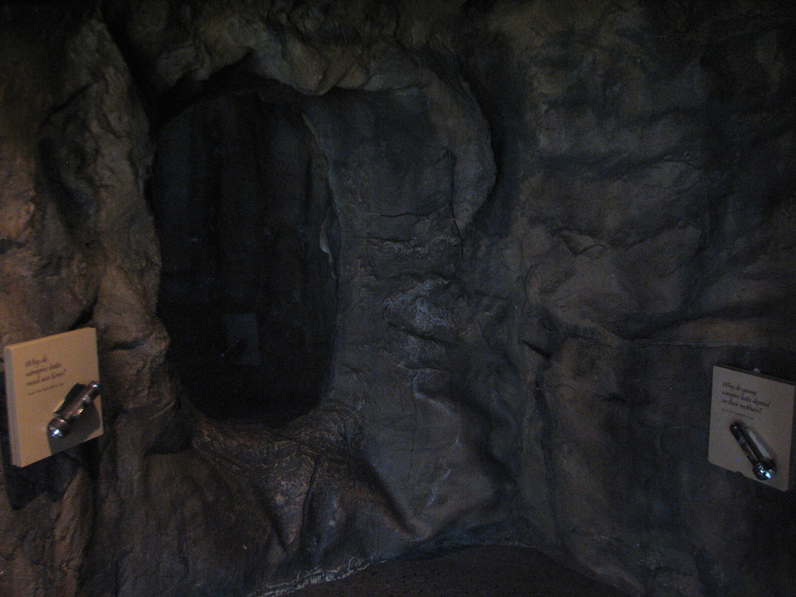 The Living Coast - Vampire Bat Exhibit Cave