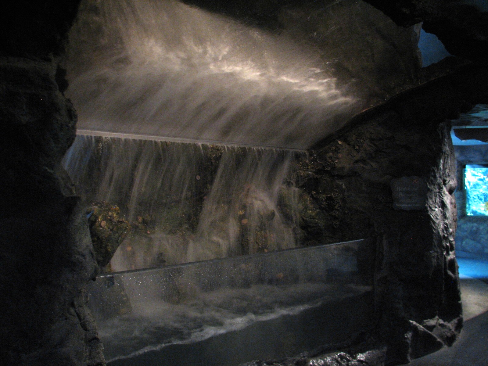 The Living Coast - Wave Exhibit