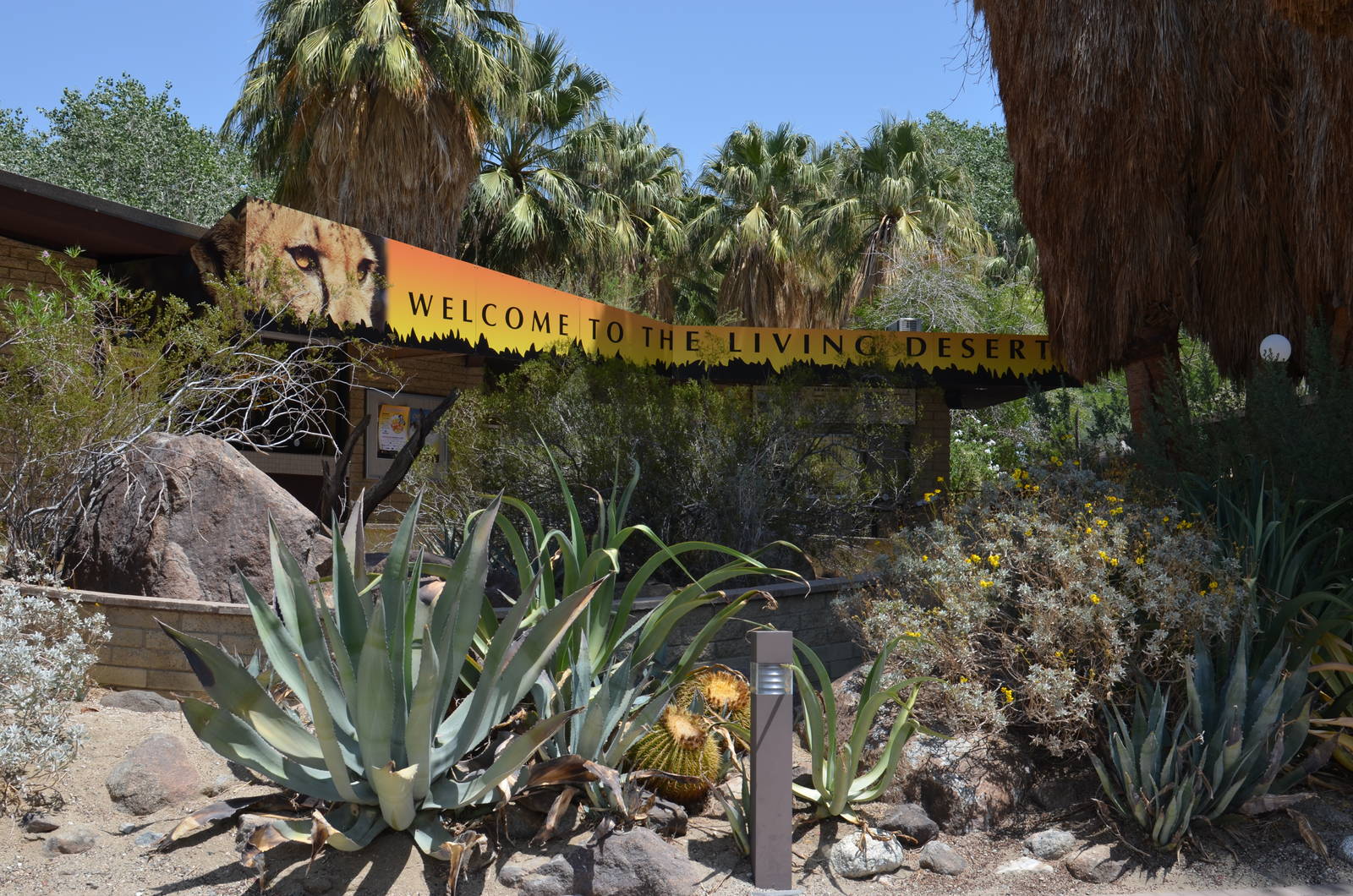 The Living Desert Entrance