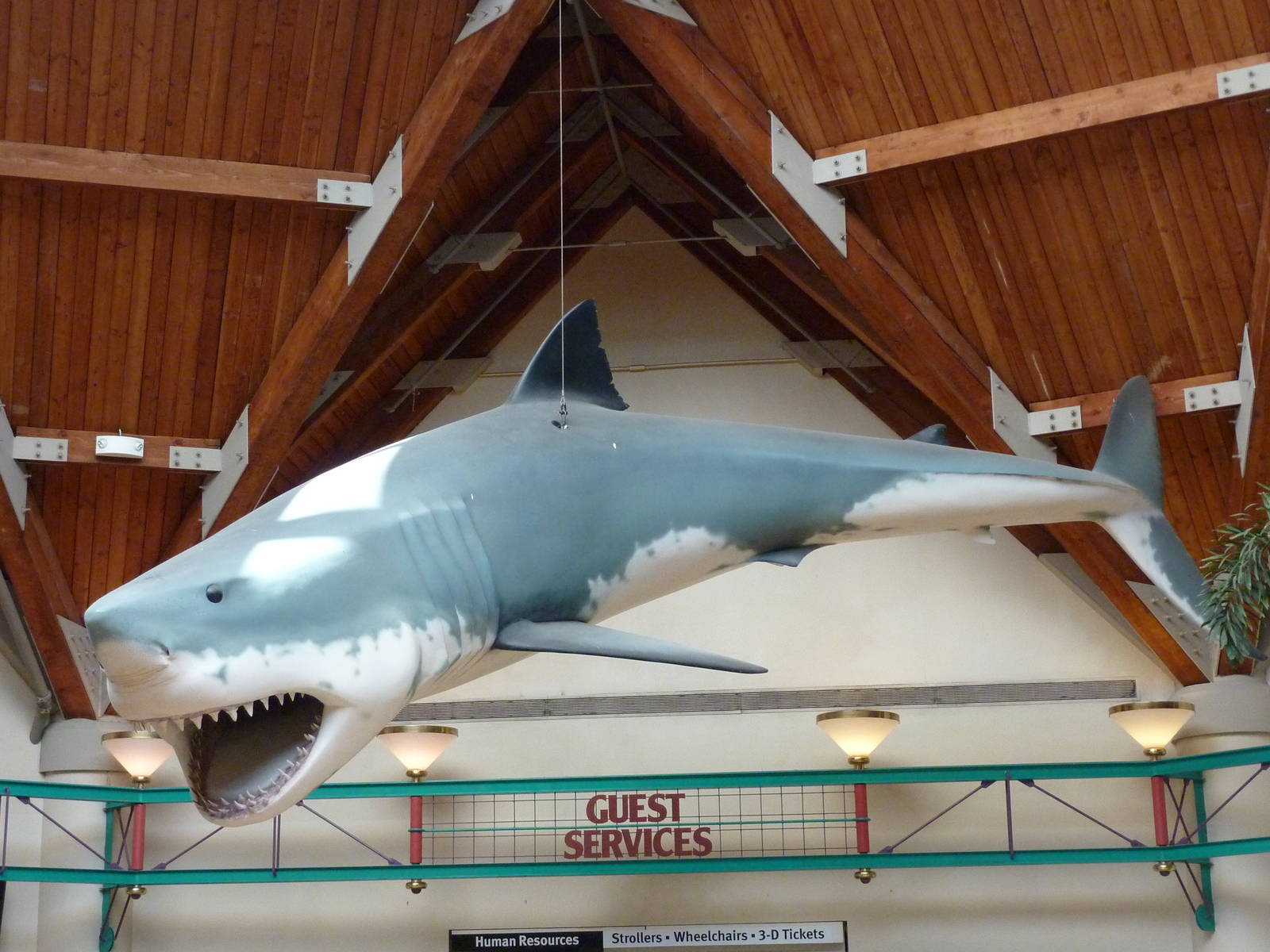 The Living World - Great White Shark