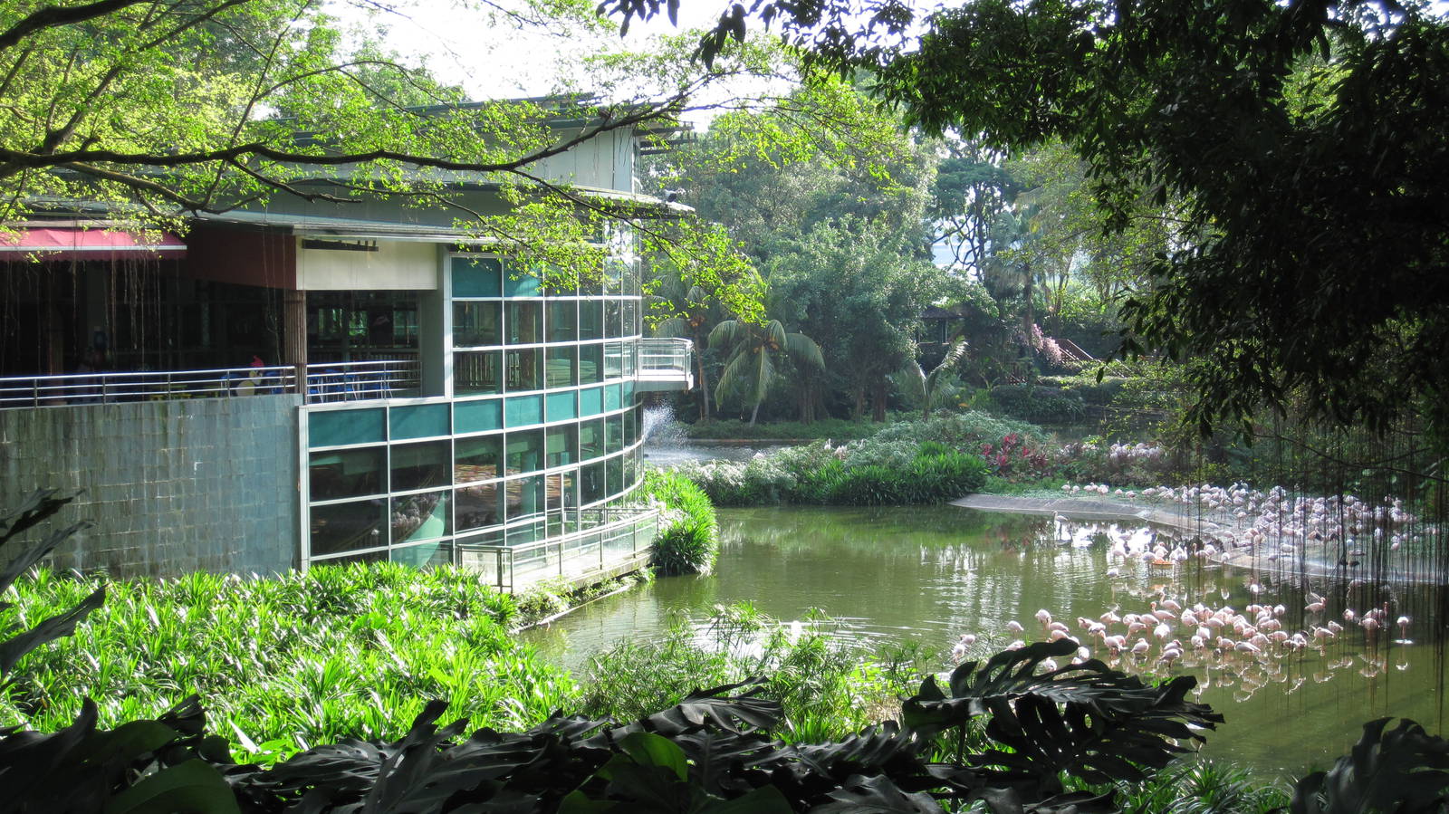 The Lodge on Flamingo Lake