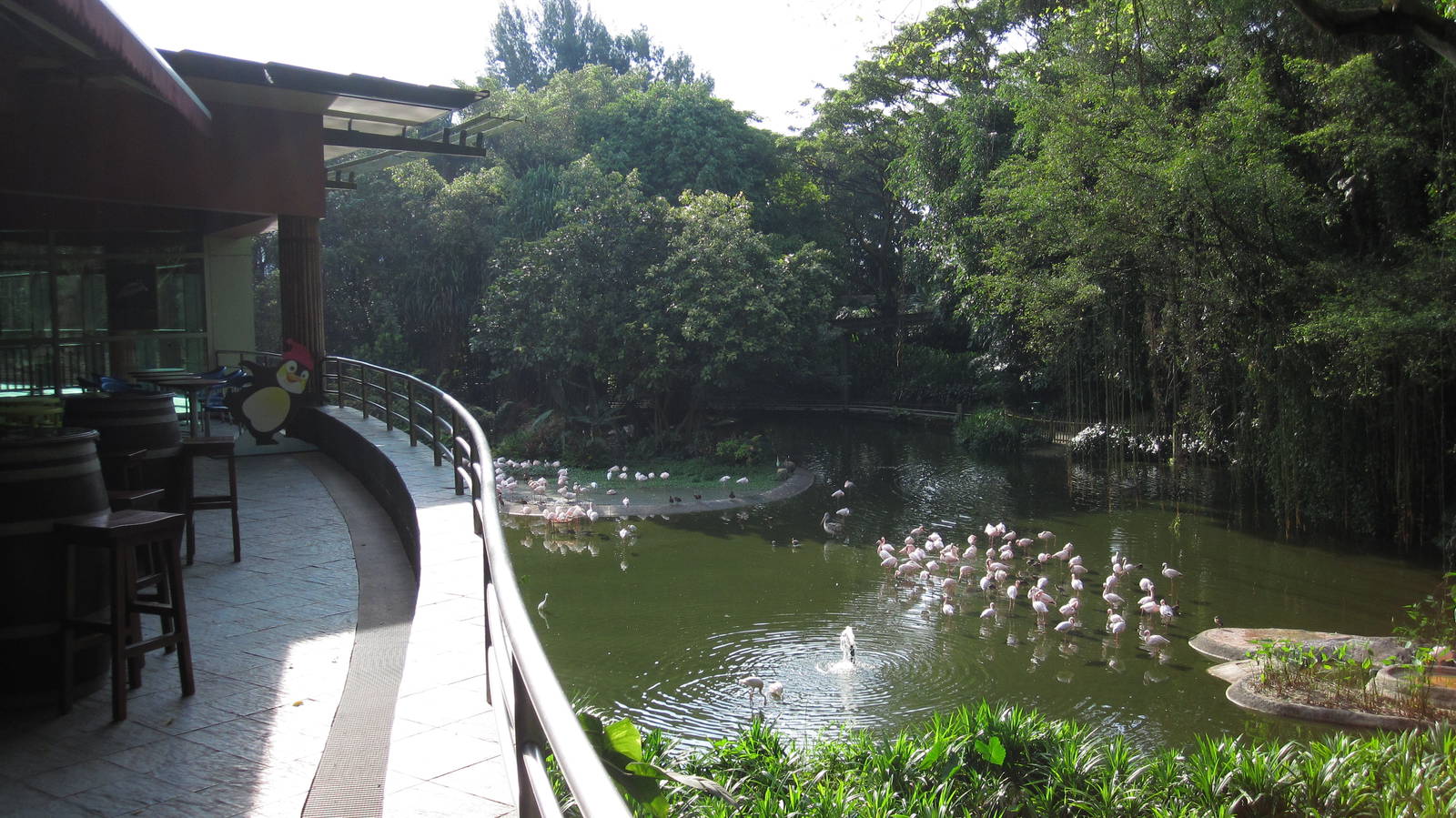 The Lodge on Flamingo Lake