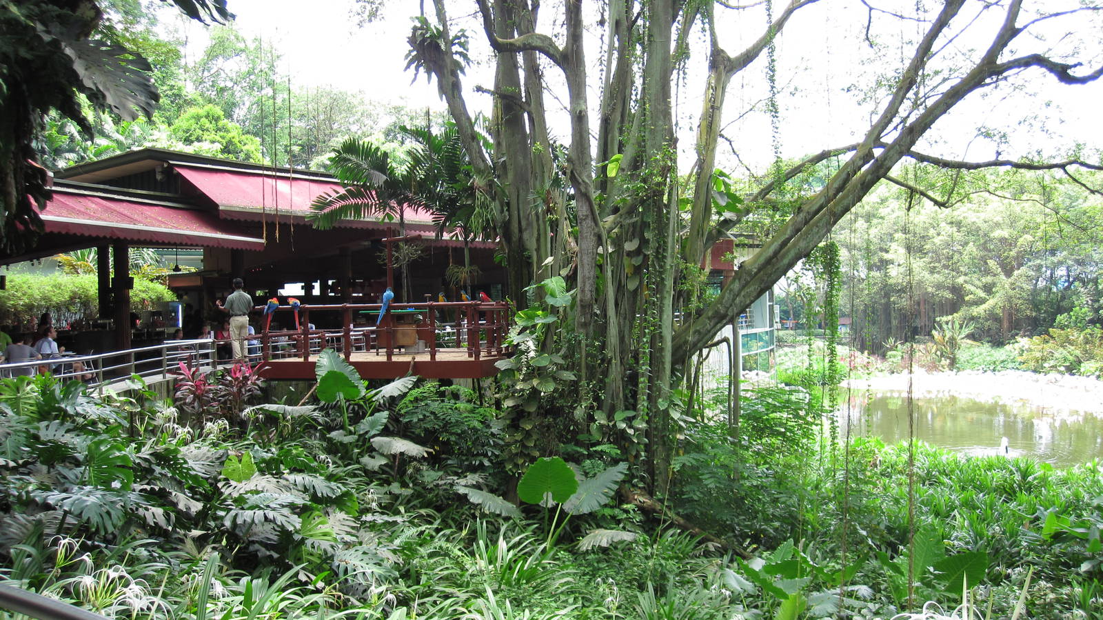 The Lodge on Flamingo Lake