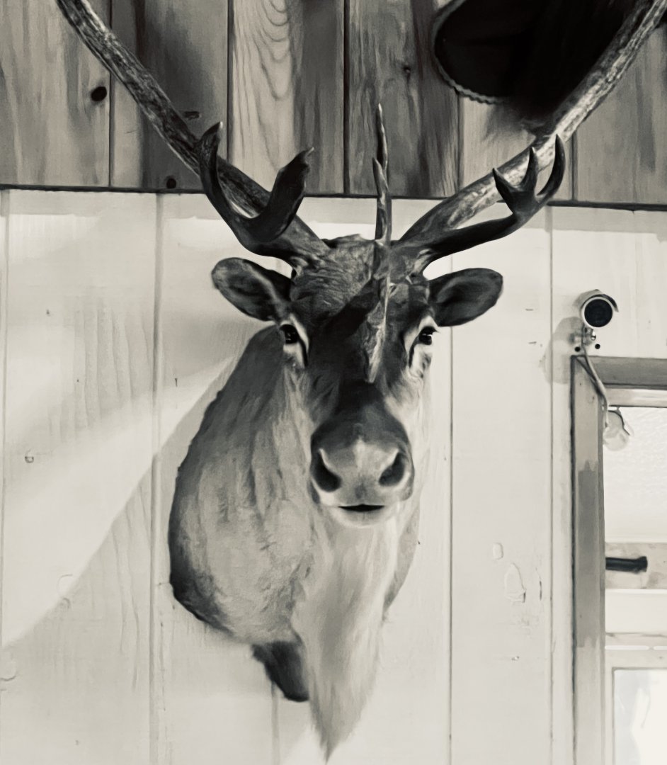 The Long Rifle Lodge - Sutton Alaska