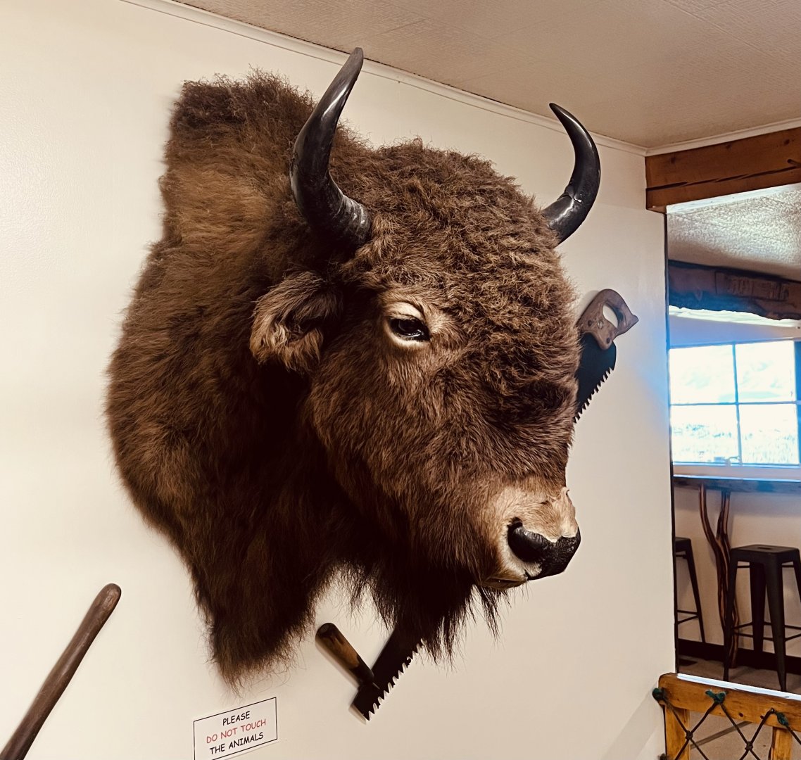 The Long Rifle Lodge - Sutton Alaska