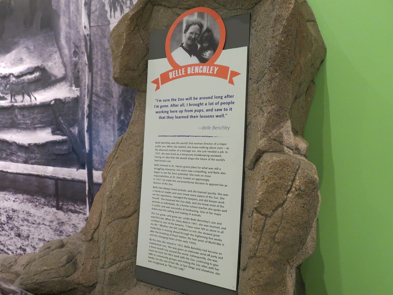 The Lore Behind The Roar! - Belle Benchley and Grotto Display
