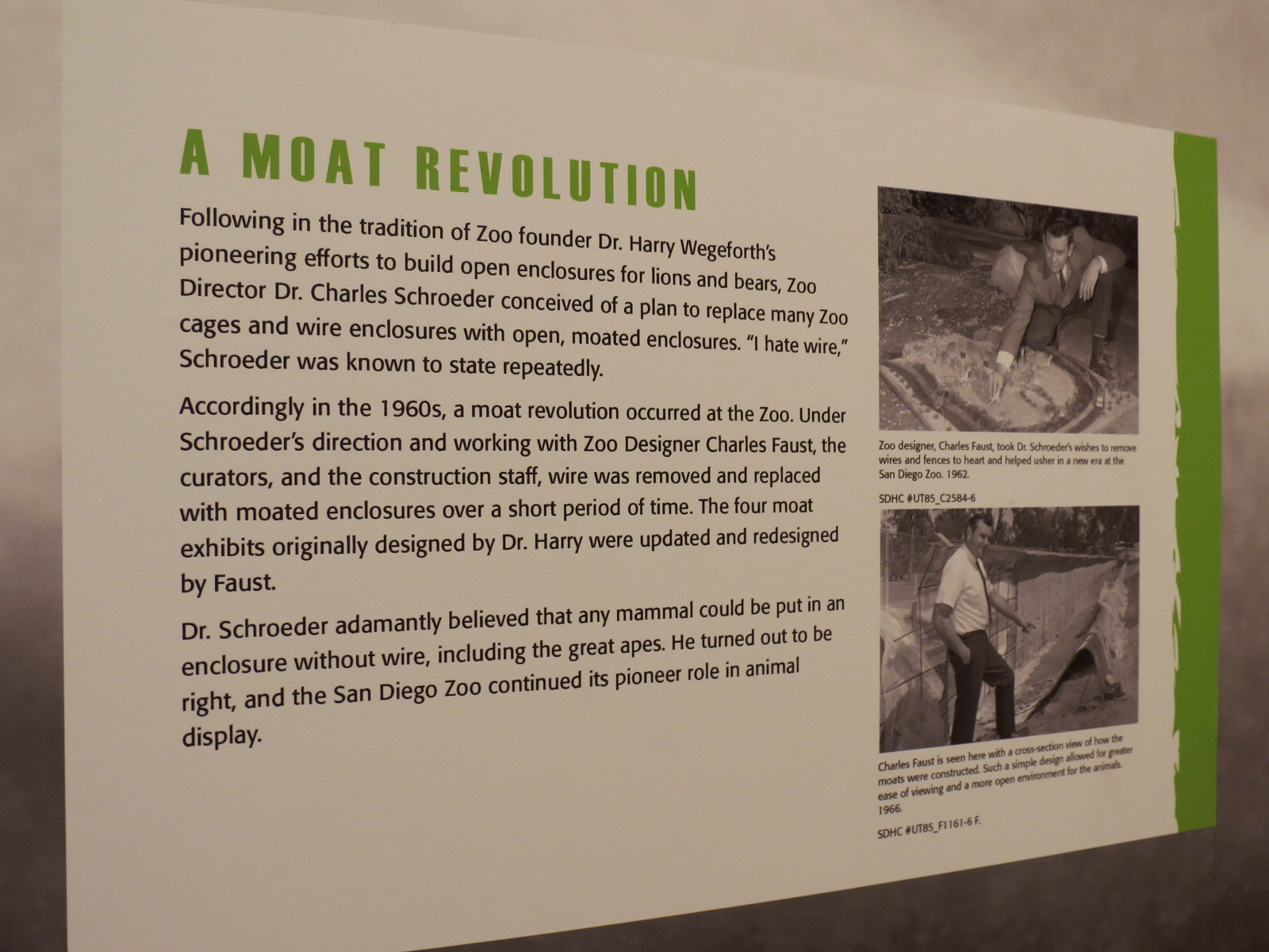 The Lore Behind The Roar! - Charles Faust Zoo Design Display