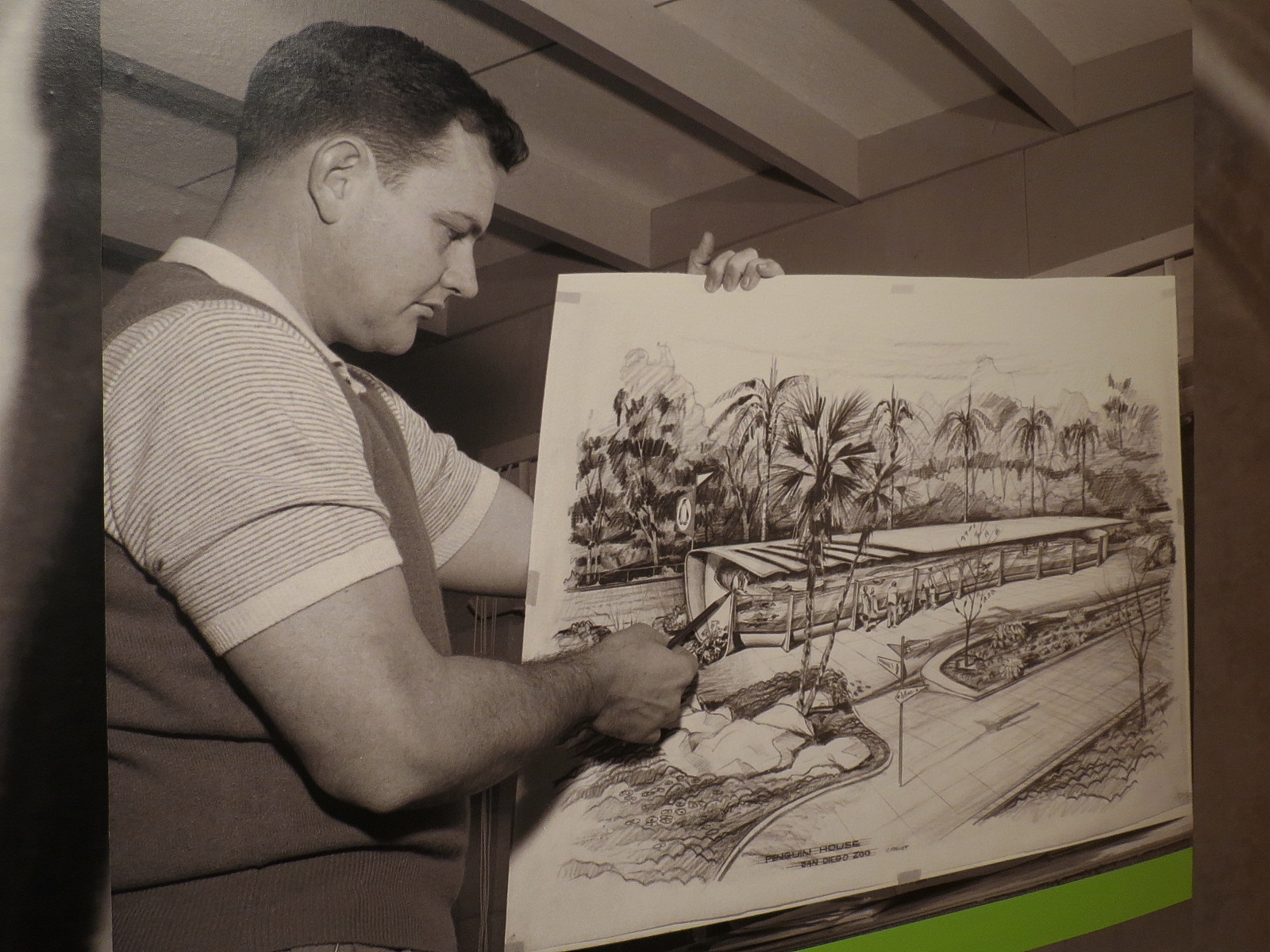 The Lore Behind The Roar! - Charles Faust Zoo Design Display