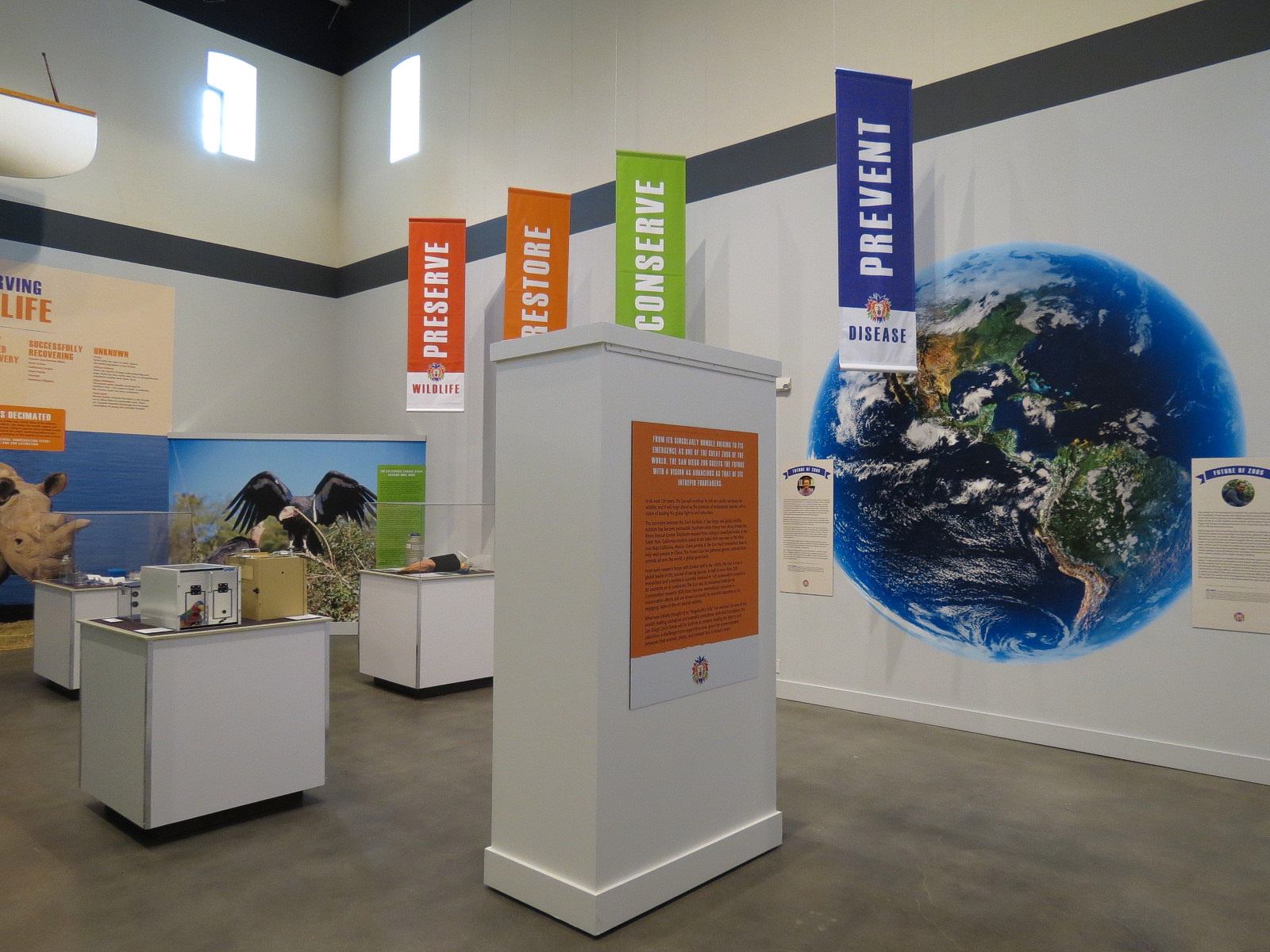 The Lore Behind The Roar! - Conservation Display