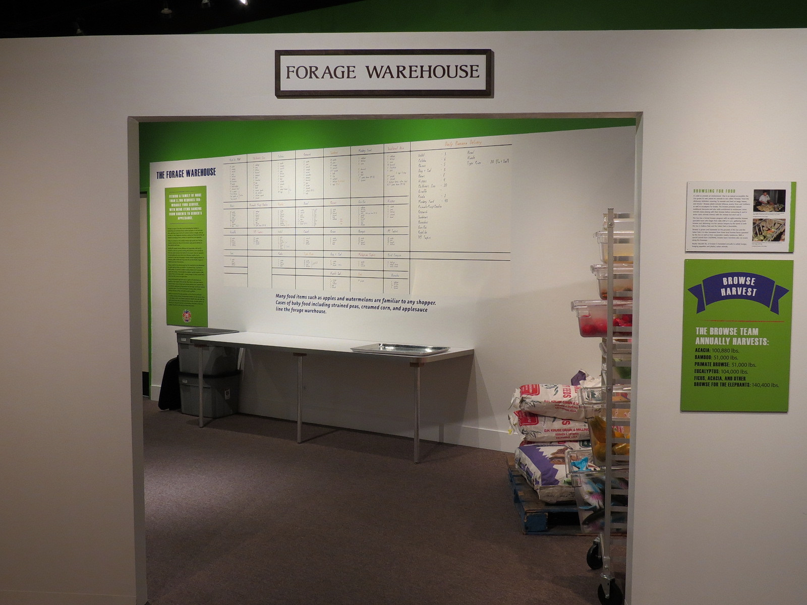 The Lore Behind The Roar! - Forage Warehouse Display