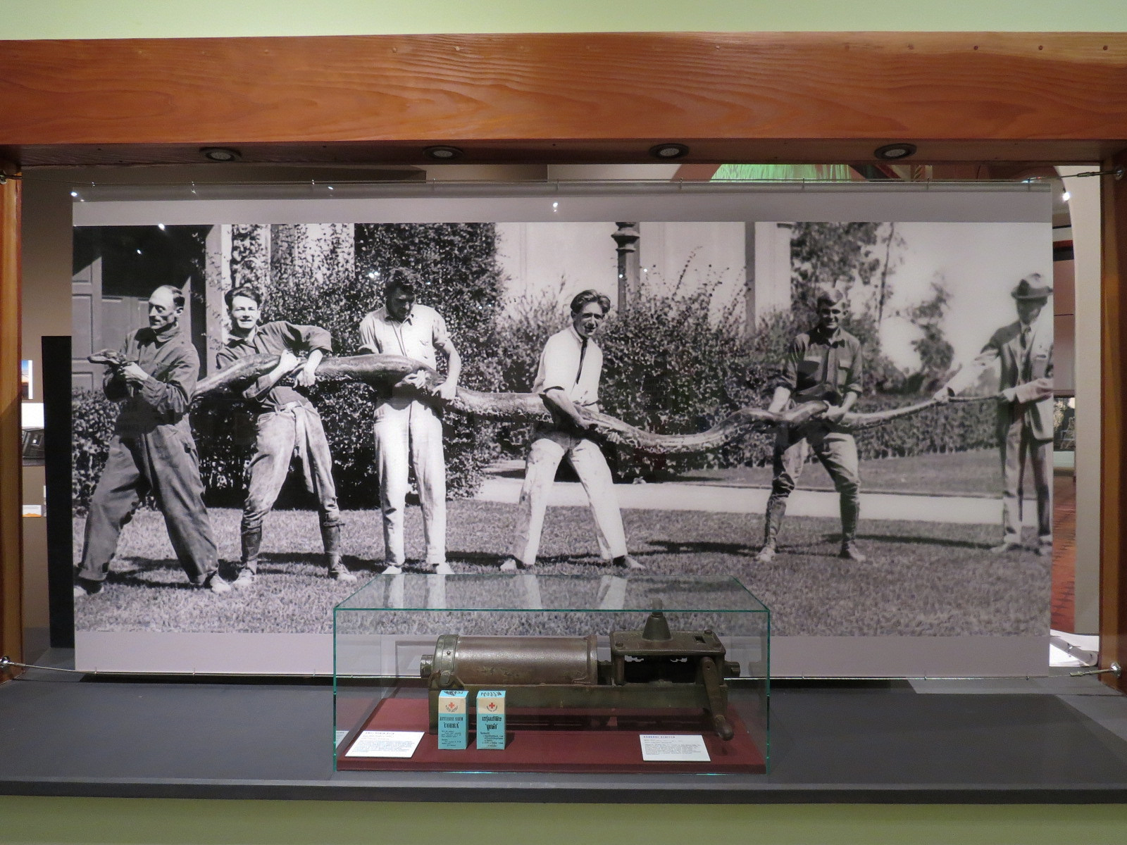 The Lore Behind The Roar! - Forcefeeding Diablo Display With Meat Grinder