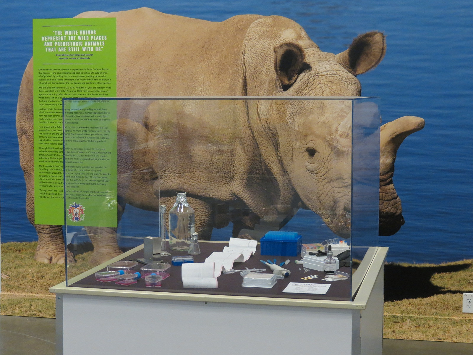 The Lore Behind The Roar! - Frozen Zoo Display