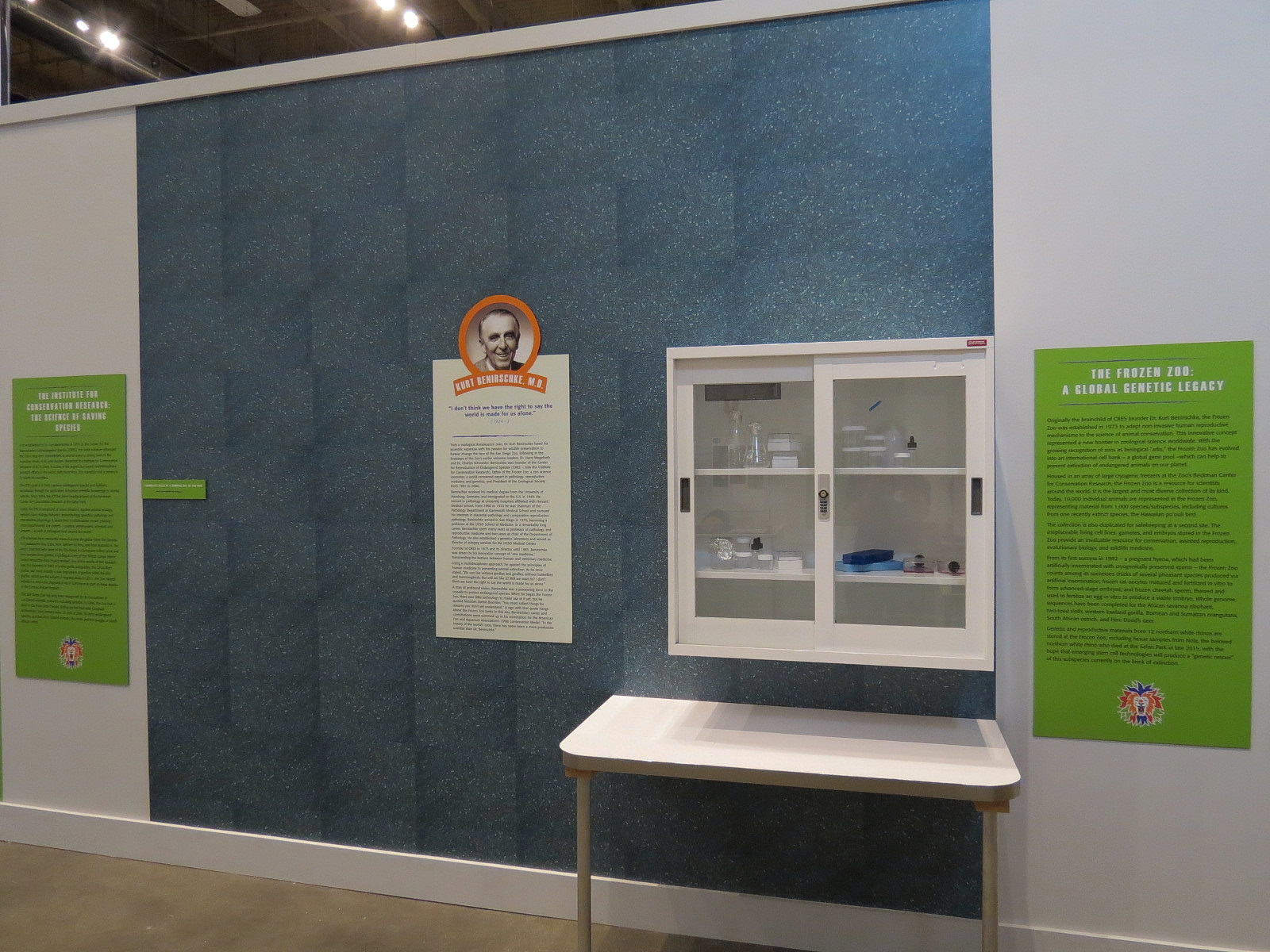 The Lore Behind The Roar! - Frozen Zoo Display