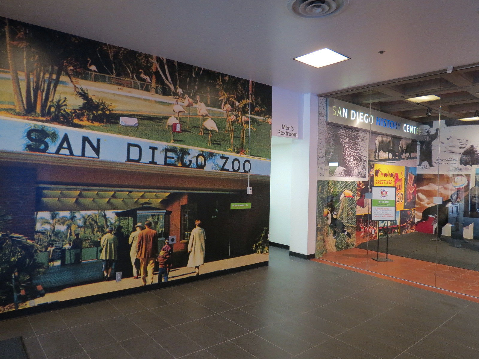 The Lore Behind The Roar! - Glass Gallery Entrance Display