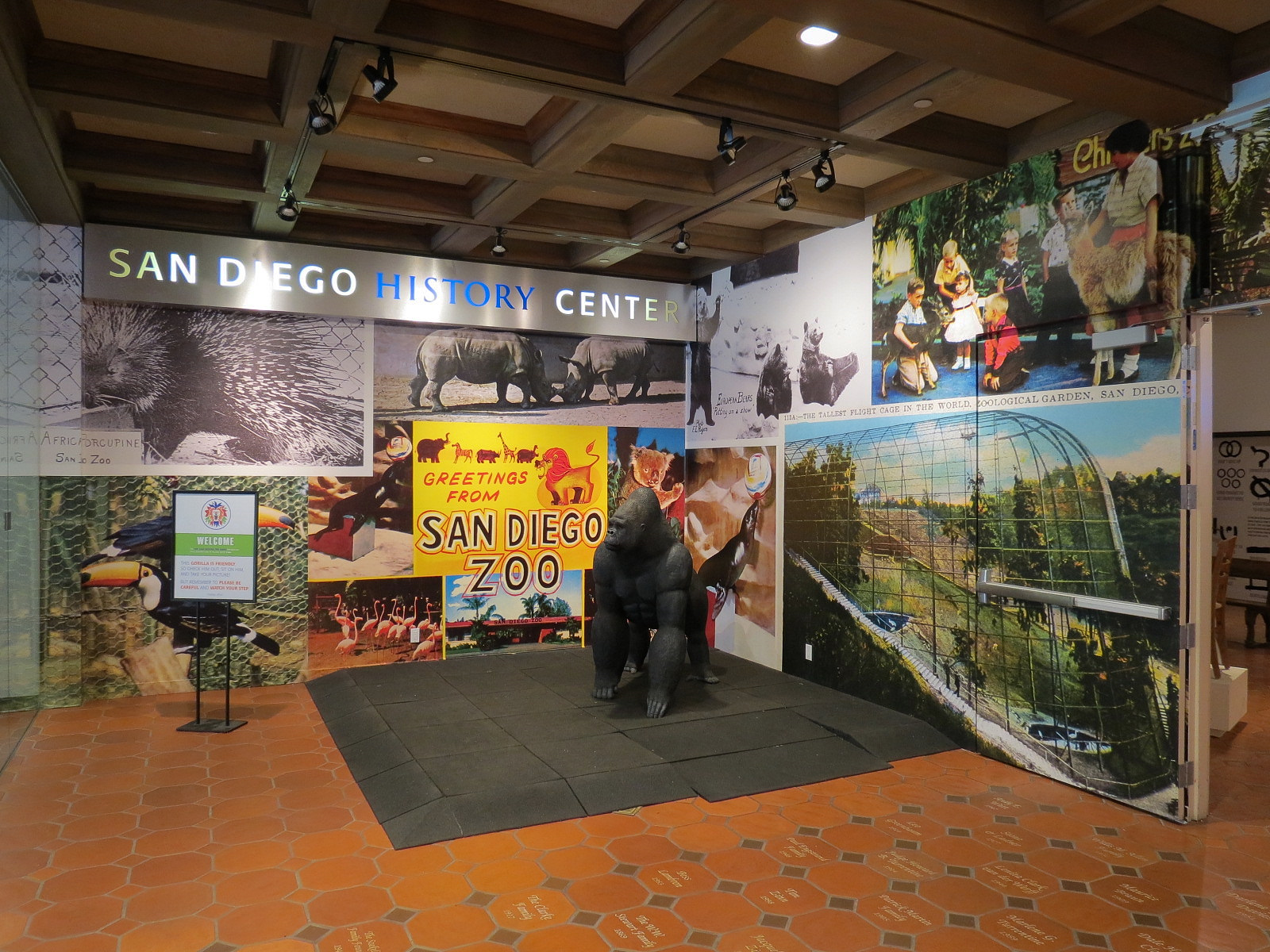 The Lore Behind The Roar! - Glass Gallery Entrance Display