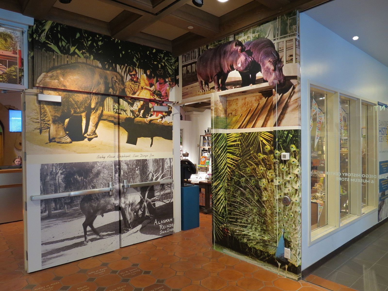 The Lore Behind The Roar! - Glass Gallery Entrance Display