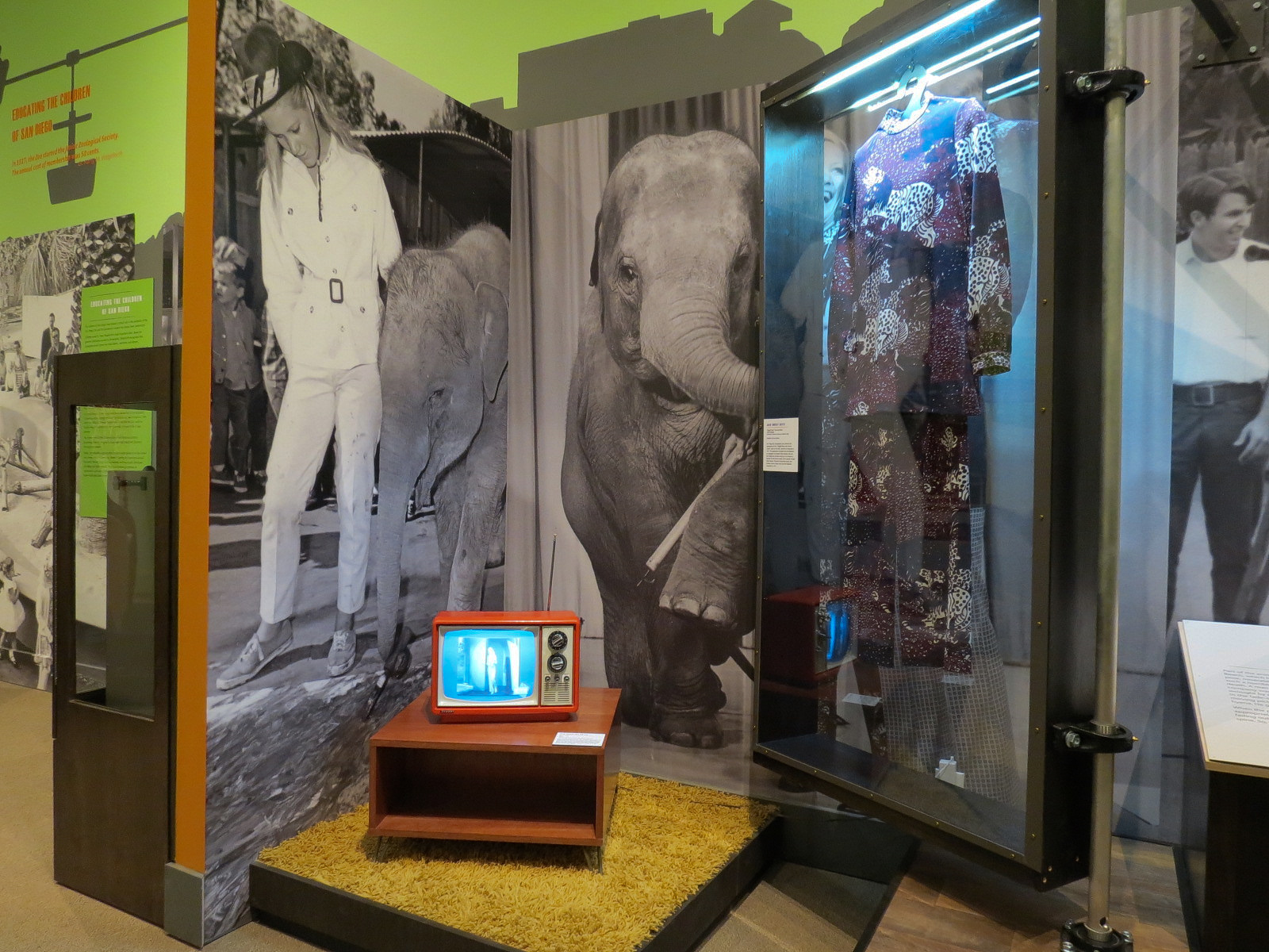 The Lore Behind The Roar! - Joan Embery Tonight Show Display