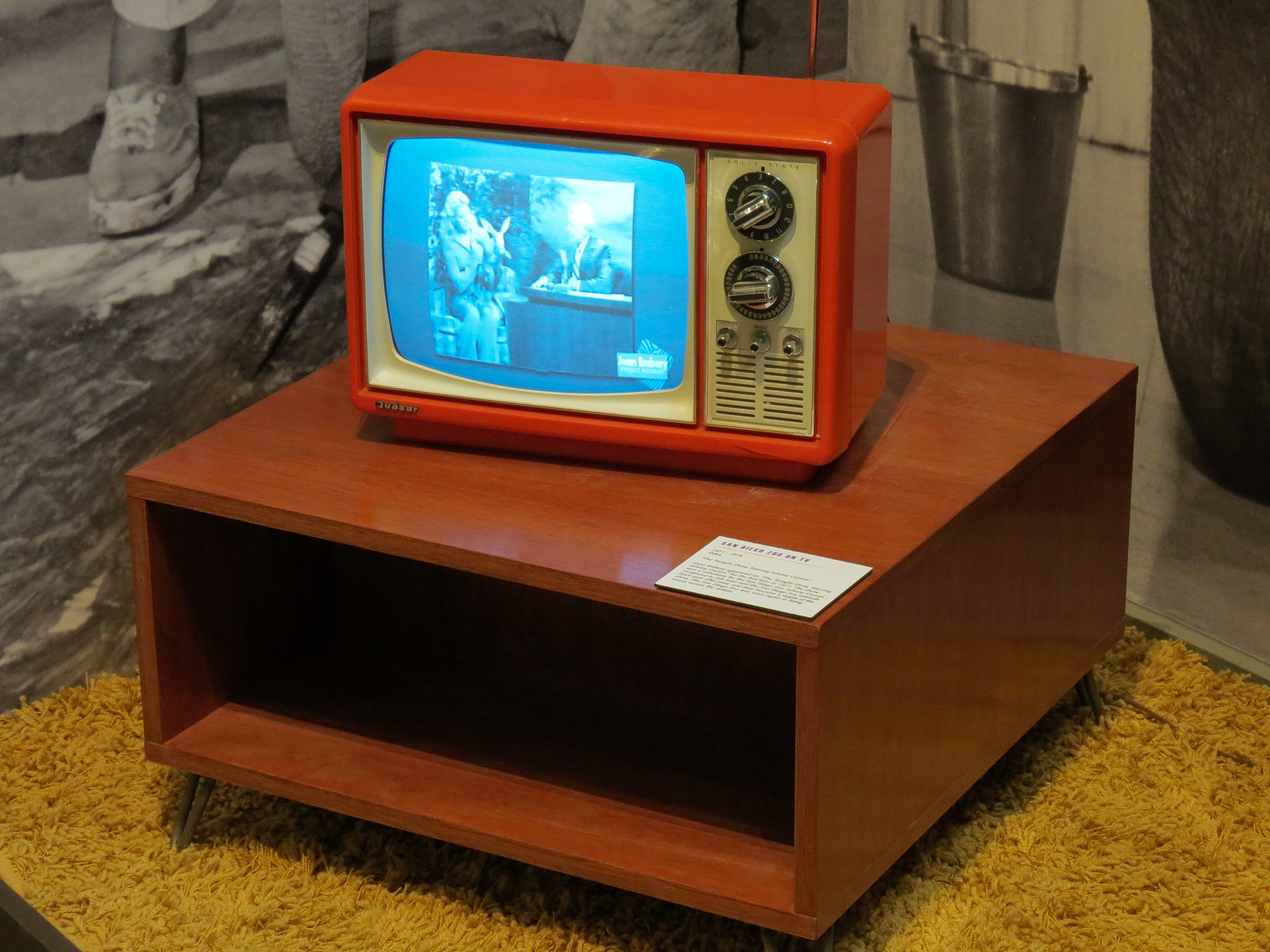 The Lore Behind The Roar! - Joan Embery Tonight Show Display