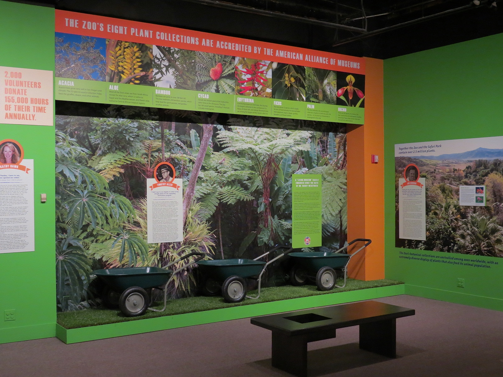 The Lore Behind The Roar! - Plant Collections Display