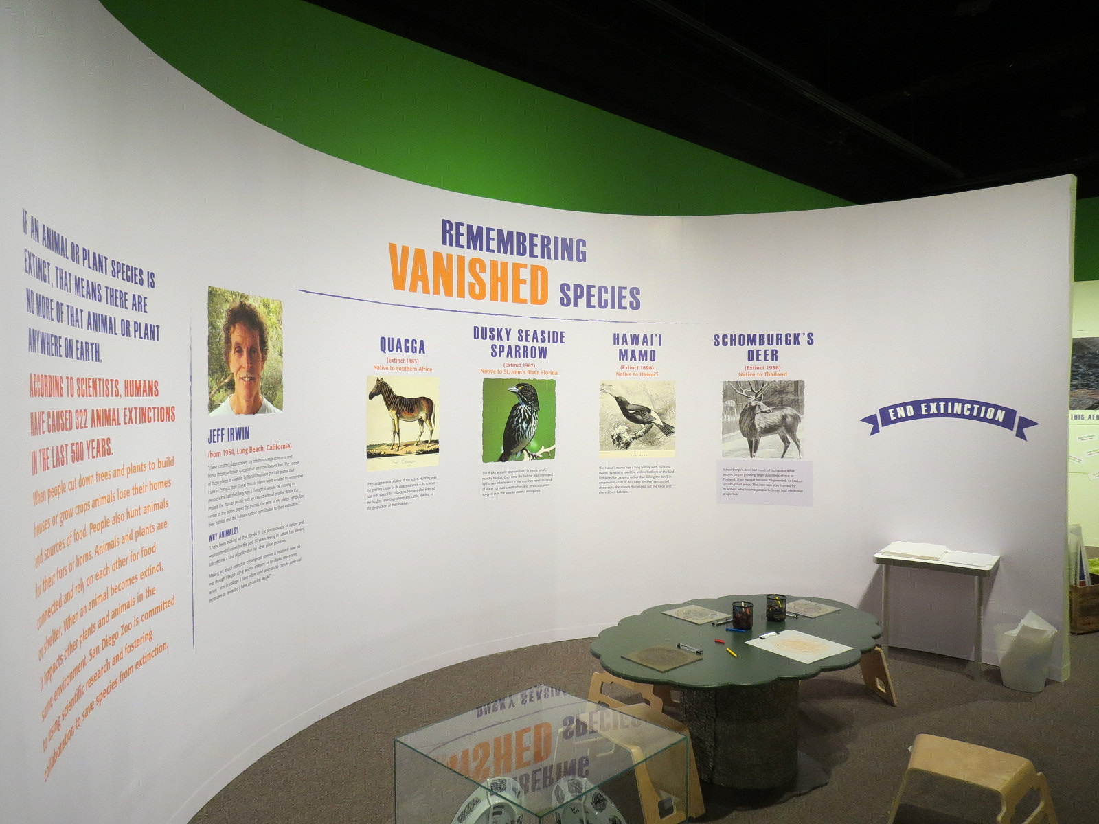 The Lore Behind The Roar! - Roar! Family Den