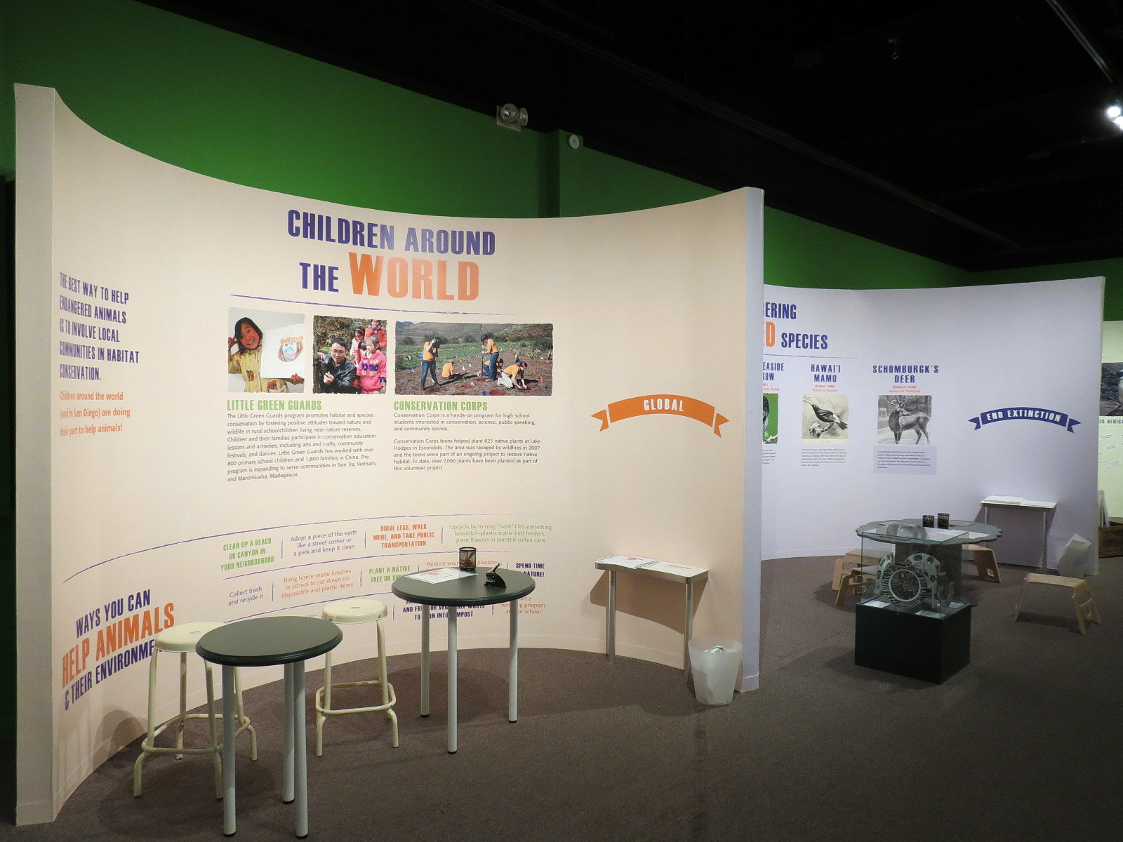 The Lore Behind The Roar! - Roar! Family Den