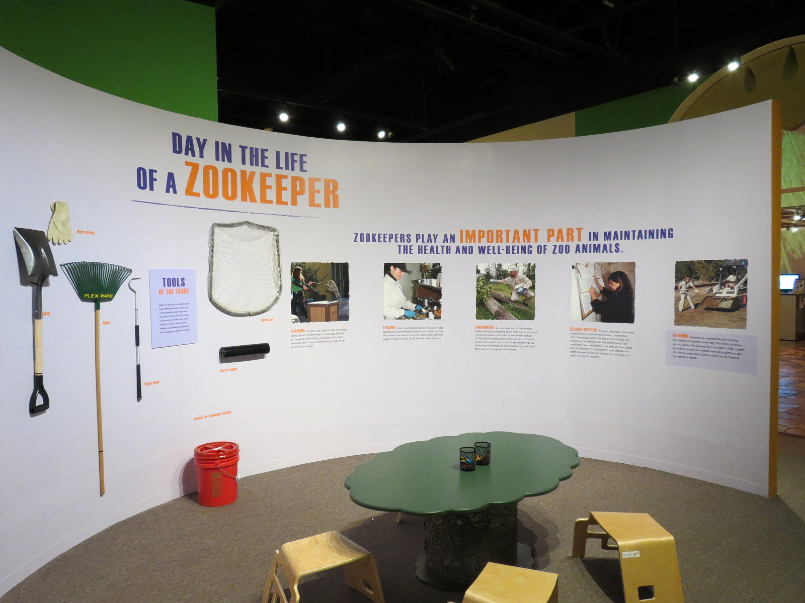 The Lore Behind The Roar! - Roar! Family Den