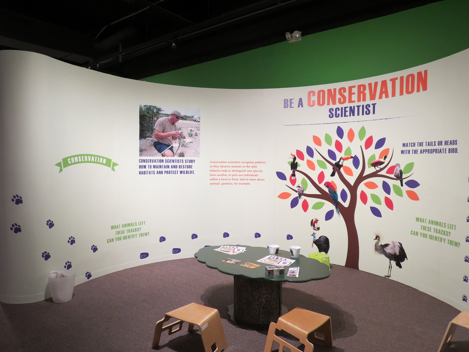 The Lore Behind The Roar! - Roar! Family Den