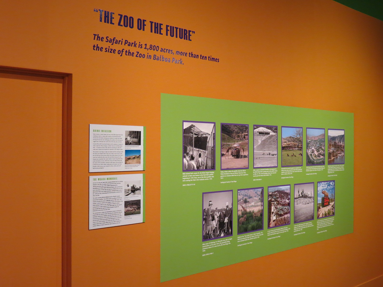 The Lore Behind The Roar! - Safari Park Display