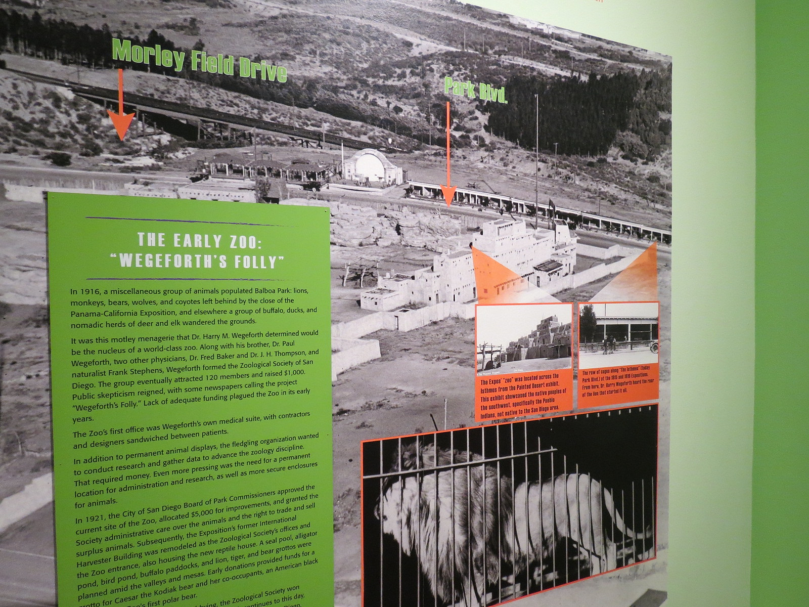 The Lore Behind The Roar! - The Early Zoo Display