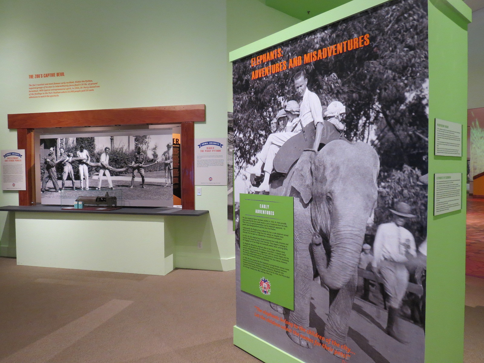 The Lore Behind The Roar! - The Early Zoo Display