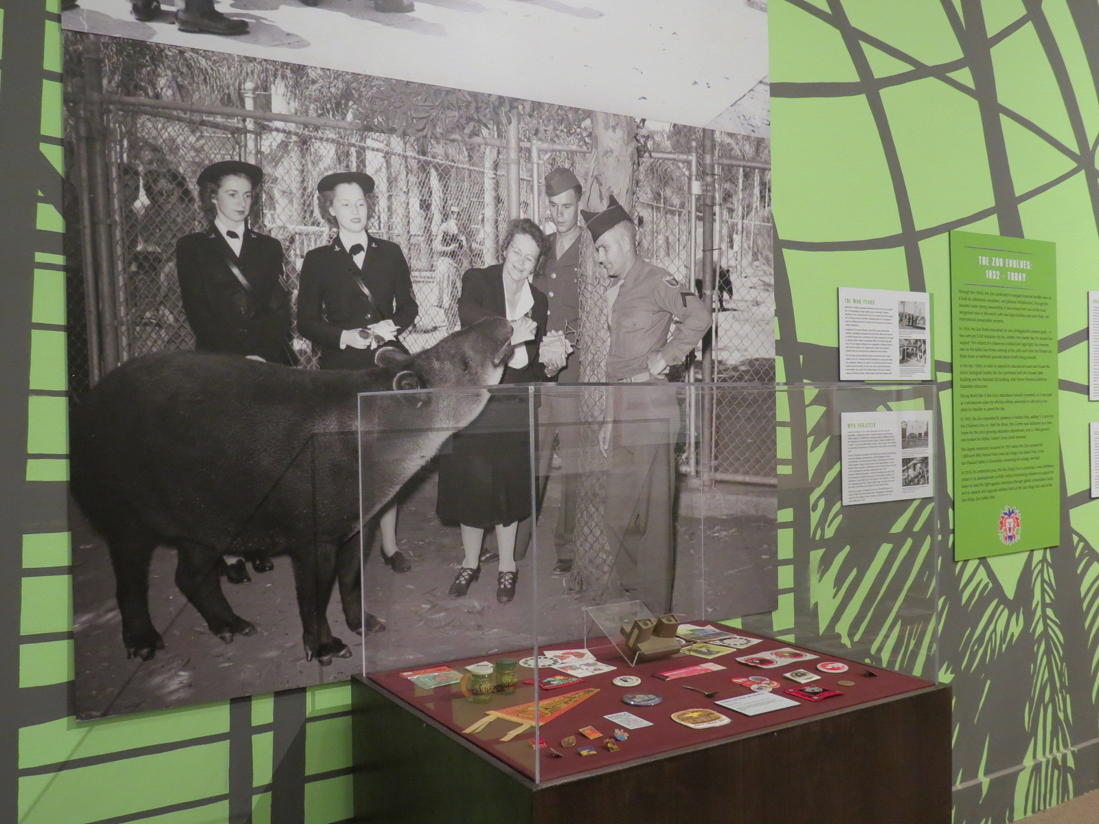 The Lore Behind The Roar! - The Zoo Evolves Display