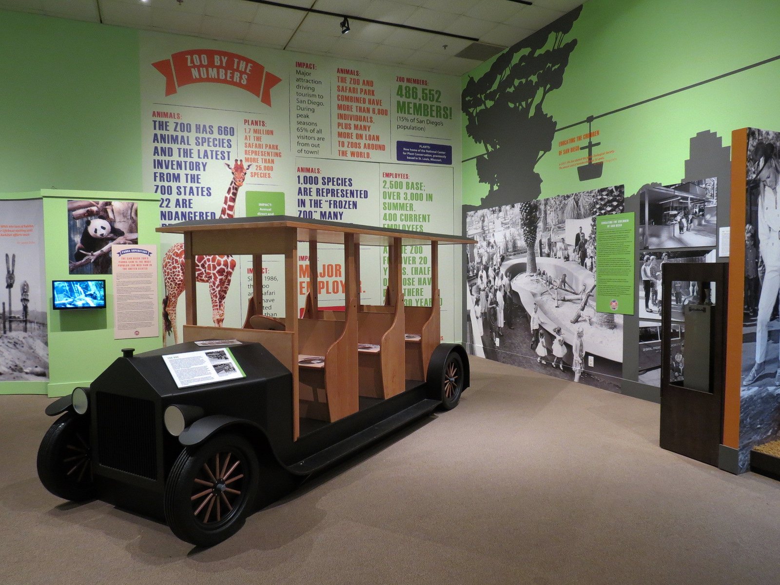 The Lore Behind The Roar! - Zoo Bus Display