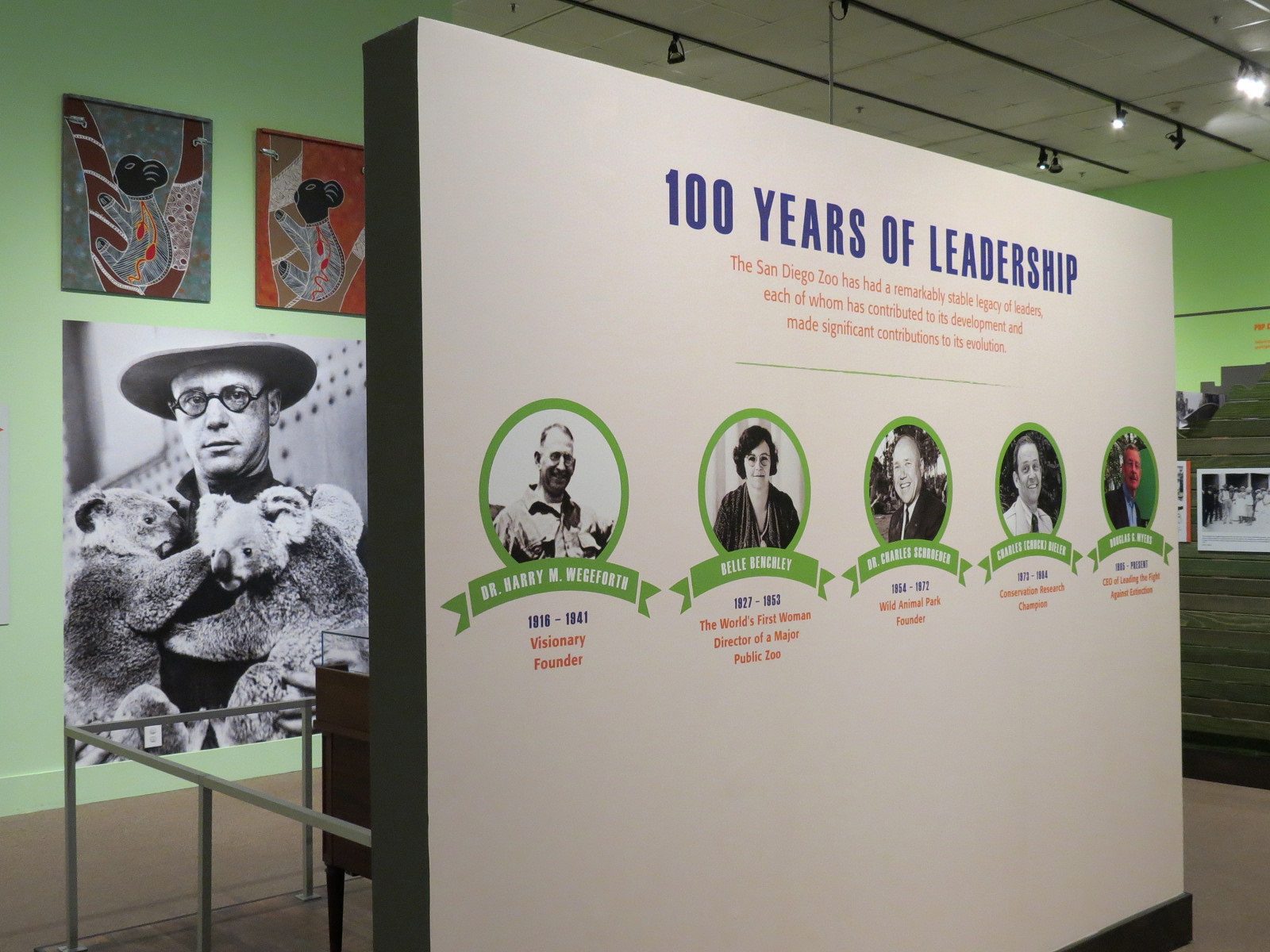 The Lore Behind The Roar! - Zoo Directors Display