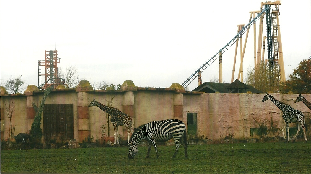 The Lost Kingdom 1st November 2012