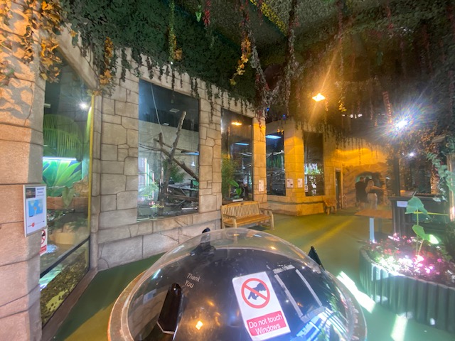 The Lost Kingdom 200922