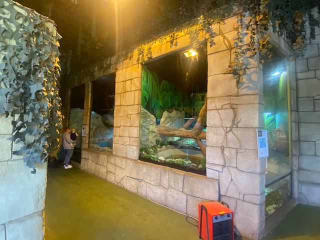 The Lost Kingdom 200922