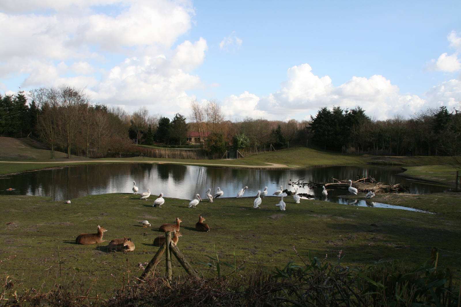 the maidan walktrough exhibit