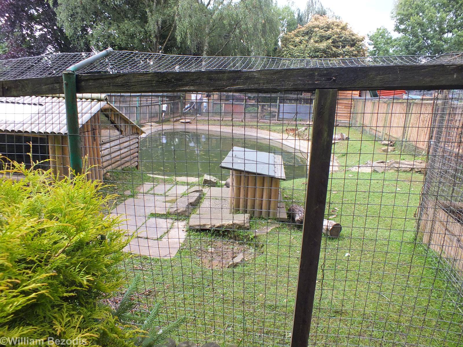The Main Beaver Enclosure
