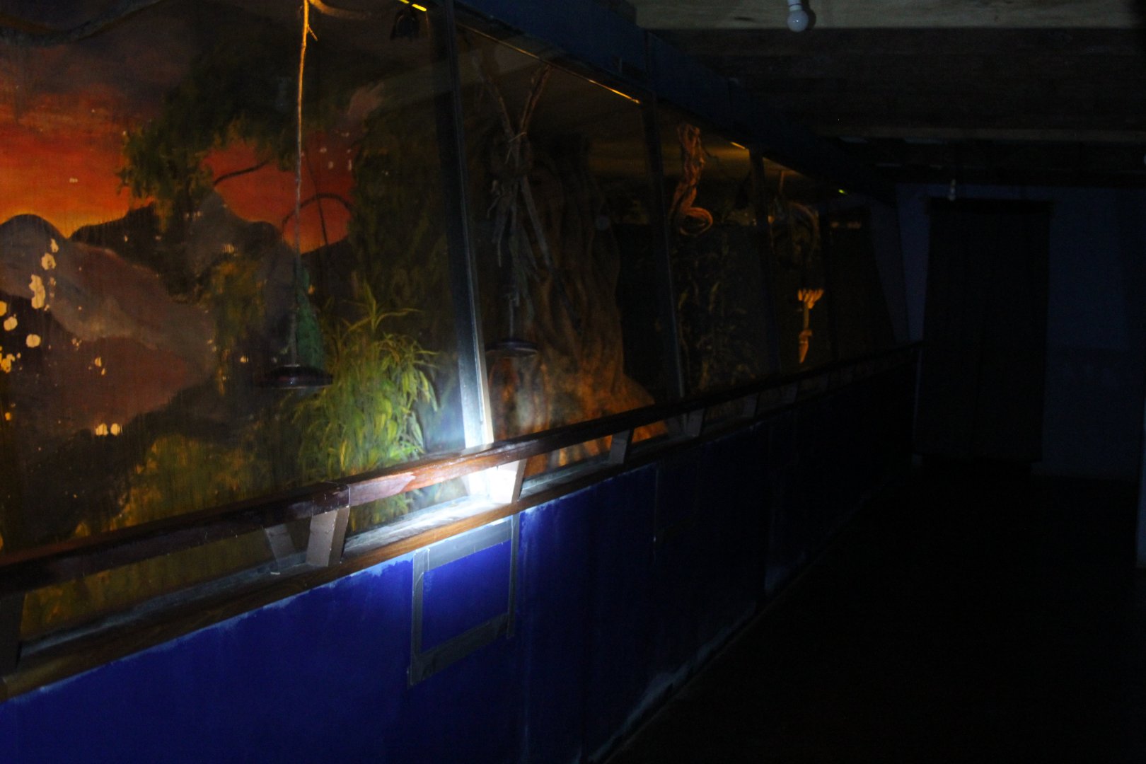 the main exhibit