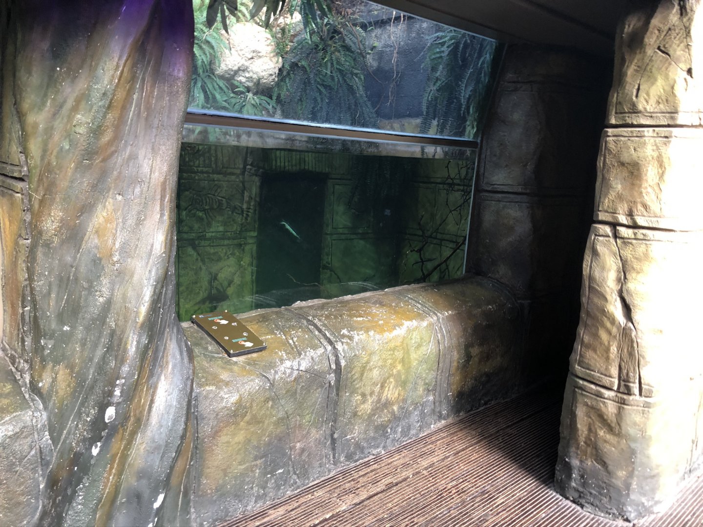 The Main Tank at Tropical World (March 2019)