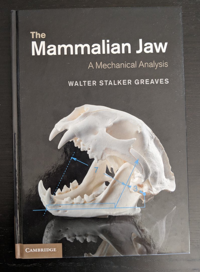 The Mammalian Jaw A Mechanical Analysis